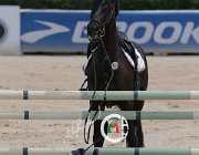 Giordano Carlton Wonder CsioArJYR SS7 8105 : CSIO Giovani Arezzo, Carlton Wonder, Giordano Martina, foto Stefano Secchi ©